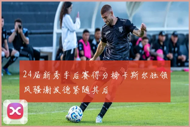 24届新秀季后赛得分榜卡斯尔独领风骚谢泼德紧随其后