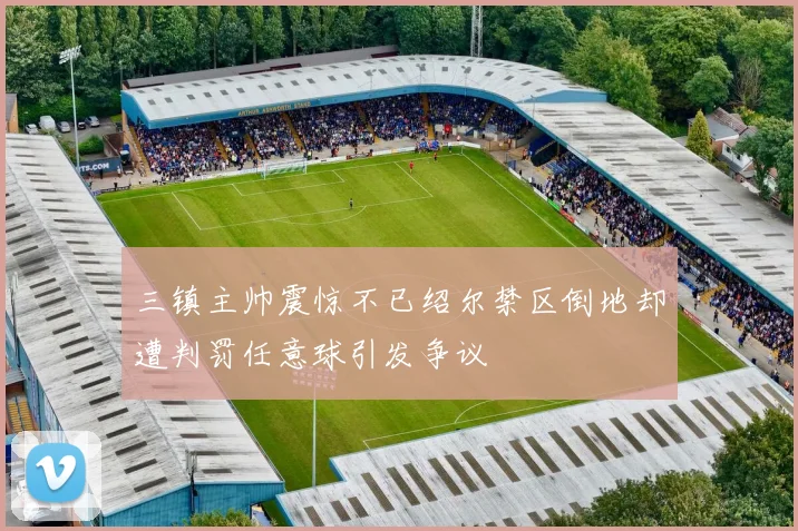 三镇主帅震惊不已绍尔禁区倒地却遭判罚任意球引发争议